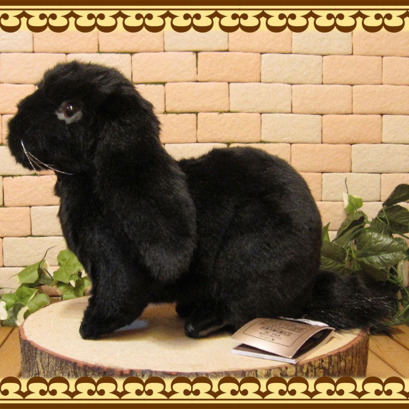 ���åץ��䡼���֥�å����ꥢ��ʥ������Τ̤�����ߡ�����������ʪ����ӥåȥ��֥���������ƥꥢ���Хˡ����å����ե����奢