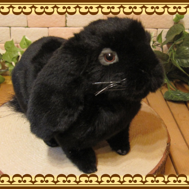 ���åץ��䡼���֥�å����ꥢ��ʥ������Τ̤�����ߡ�����������ʪ����ӥåȥ��֥���������ƥꥢ���Хˡ����å����ե����奢