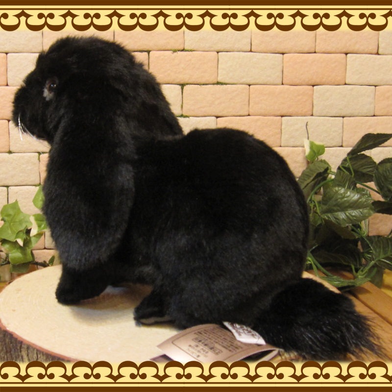 ���åץ��䡼���֥�å����ꥢ��ʥ������Τ̤�����ߡ�����������ʪ����ӥåȥ��֥���������ƥꥢ���Хˡ����å����ե����奢