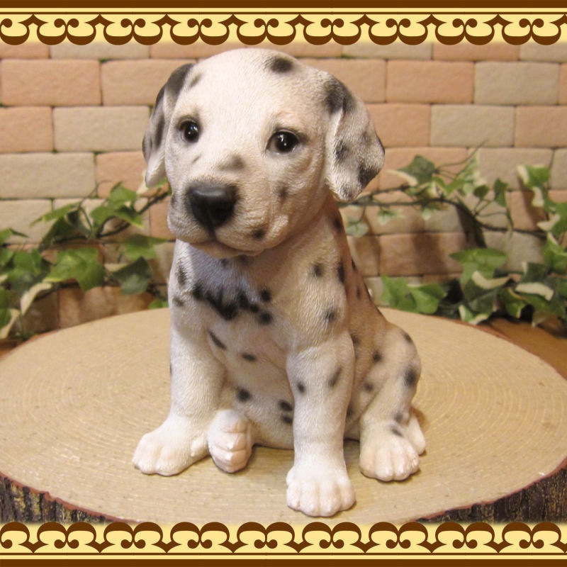 ���������Υ���ƥꥢ�ˤ����Υ����ʥ��ȤȤ��Ƥ�����ꥢ��ʸ�����ʪ������᥷���󡡤��¤� �Ҹ��Υե�����