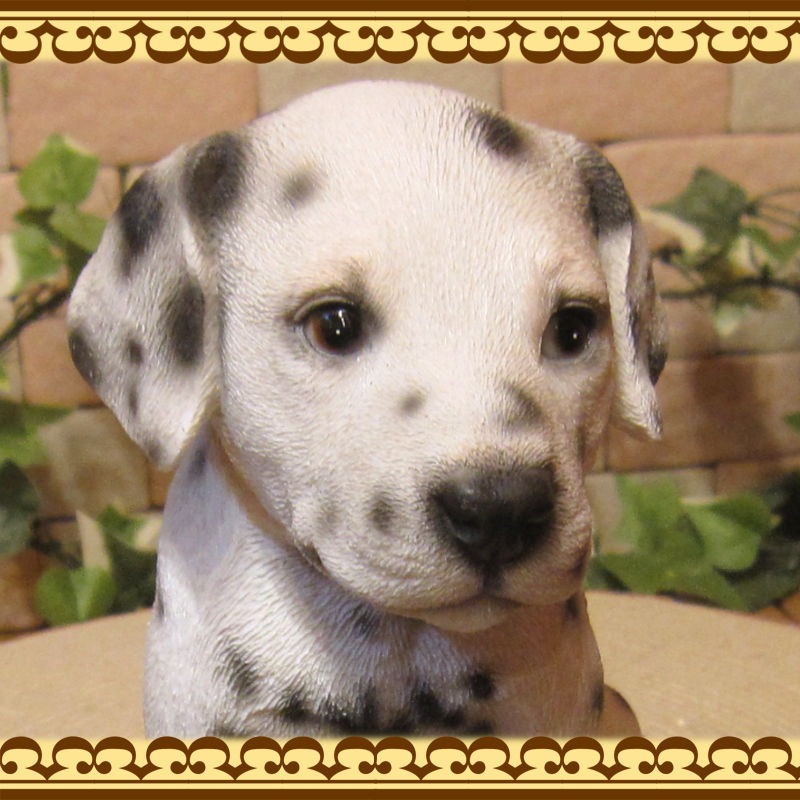 ���������Υ���ƥꥢ�ˤ����Υ����ʥ��ȤȤ��Ƥ�����ꥢ��ʸ�����ʪ������᥷���󡡤��¤� �Ҹ��Υե�����