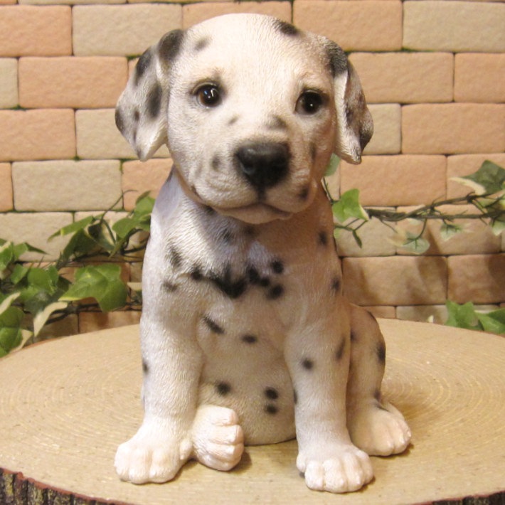 ���������Υ���ƥꥢ�ˤ����Υ����ʥ��ȤȤ��Ƥ�����ꥢ��ʸ�����ʪ������᥷���󡡤��¤� �Ҹ��Υե�����