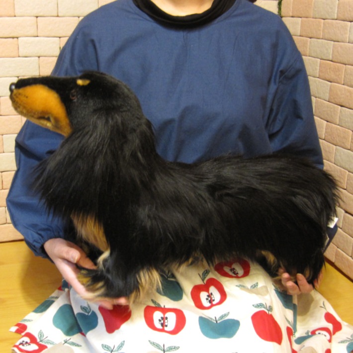 åեȡӥå֥åɥå֥礭ƥꥢʸΤ̤ߡ̤ʪ̤Υե奢ƥꥢ