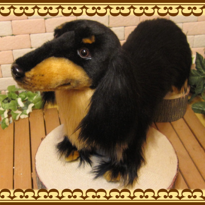 åեȡӥå֥åɥå֥礭ƥꥢʸΤ̤ߡ̤ʪ̤Υե奢ƥꥢ