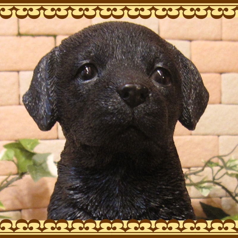 ꥢʸʪ֥ɡȥС֥å֡¤ ҸΥեΥƥꥢˤΥʥȤȤƤ