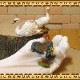�ꥢ��ʡ�Ļ����ʪ���С��ɡ��������åȡ��Ȥꡡ���֥������ɡ��롡�ե����奢�������ǥ˥󥰡��ߥ˥��奢������ƥꥢ