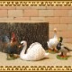 �ꥢ��ʡ�Ļ����ʪ���С��ɡ��������åȡ��Ȥꡡ���֥������ɡ��롡�ե����奢�������ǥ˥󥰡��ߥ˥��奢������ƥꥢ
