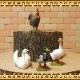 �ꥢ��ʡ�Ļ����ʪ���С��ɡ��������åȡ��Ȥꡡ���֥������ɡ��롡�ե����奢�������ǥ˥󥰡��ߥ˥��奢������ƥꥢ