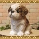 ʪסꥢʸʪ¤ Ҥ̡ǥưʪ֥ǥ󡡥ʥȡŹޡ󥿡֥ƥꥢ衡