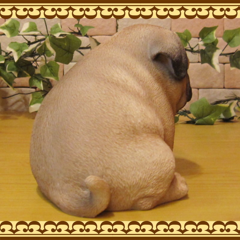 ������ʪ���ѥ����פä���٥ӡ��ɥå����ѥ����¥����ס����̡����̡�ưʪ���֥����������ǥ󥪡��ʥ��ȡ��������ե����奢��������ա�����ƥꥢ�������衡��������