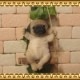�ꥢ��ʸ�����ʪ���֥�󥳥ɥå����¥����ס��ѥ������̤Υե����������̡������ǥ󡡥���ƥꥢ�������ʥ��ȡ��������Υ���ƥꥢ�ˤ����Υ����ʥ��ȤȤ��Ƥ��
