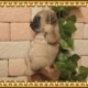 �ꥢ��ʸ�����ʪ���֥�󥳥ɥå����¥����ס��ѥ������̤Υե����������̡������ǥ󡡥���ƥꥢ�������ʥ��ȡ��������Υ���ƥꥢ�ˤ����Υ����ʥ��ȤȤ��Ƥ��
