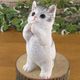 �ꥢ��ʥͥ�����ʪ�����󤪴ꤤ����åȡ������ۥ磻�ȡ����졼���ͤ��Υե����奢��ǭ���֥������������Υ���ƥꥢ�ˤ����Υ����ʥ��ȤȤ��Ƥ������