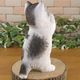 �ꥢ��ʥͥ�����ʪ�����󤪴ꤤ����åȡ������ۥ磻�ȡ����졼���ͤ��Υե����奢��ǭ���֥������������Υ���ƥꥢ�ˤ����Υ����ʥ��ȤȤ��Ƥ������