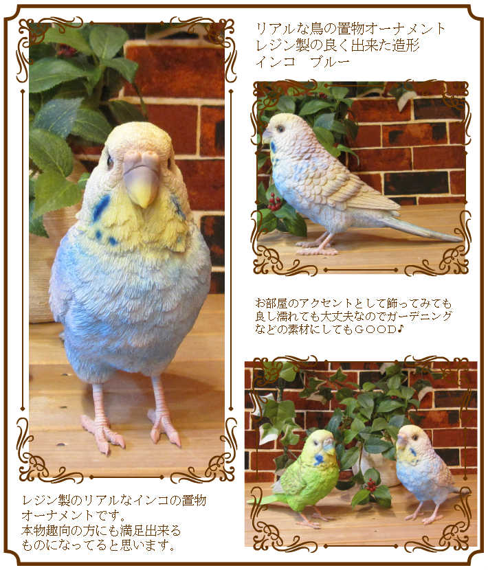 �ꥢ���Ļ����ʪ���쥸�������������������󥳡��硡�֥롼���Ȥ�Υ��֥������ȥ�Υ����ʥ��ȡ������ǥ˥��Ǻ�˥���ƥꥢ��