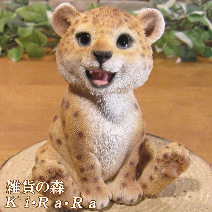 İưʪʪȡ٥ӡ쥪ѡɡ¤ꡡҥ祦֥ǥ˥󥰡Ź֥ƥꥢ٥