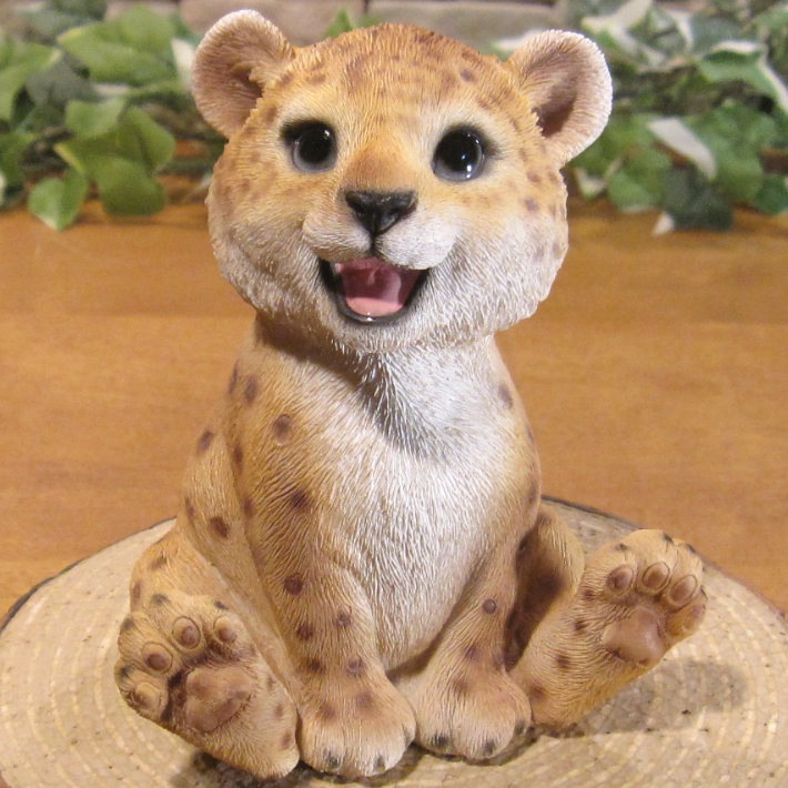 İưʪʪȡ٥ӡ쥪ѡɡ¤ꡡҥ祦֥ǥ˥󥰡Ź֥ƥꥢ٥