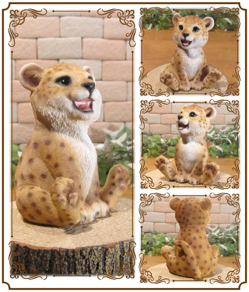 İưʪʪȡ٥ӡ쥪ѡɡ¤ꡡҥ祦֥ǥ˥󥰡Ź֥ƥꥢ٥