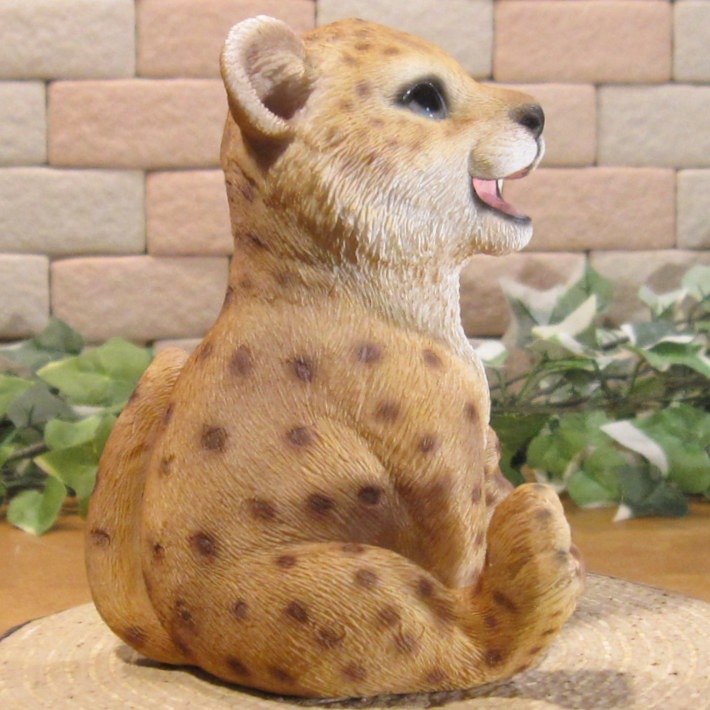 İưʪʪȡ٥ӡ쥪ѡɡ¤ꡡҥ祦֥ǥ˥󥰡Ź֥ƥꥢ٥