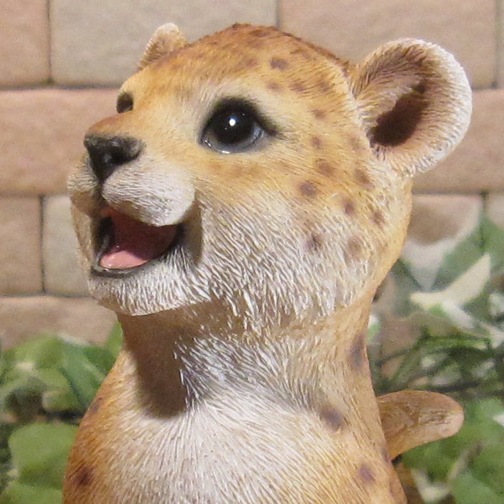 İưʪʪȡ٥ӡ쥪ѡɡ¤ꡡҥ祦֥ǥ˥󥰡Ź֥ƥꥢ٥