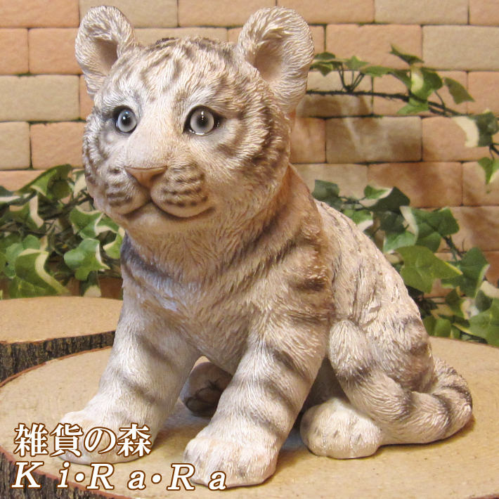 �ꥢ��ʸפ���ʪ���٥ӡ����ۥ磻�ȥ����������ȥ顡�Ȥ顡�ҡ����١��ﵯʪ�����˥ޥ륪�֥����������ǥ󡡥٥��������ȡ������ǥ˥󥰡��������Υ���ƥꥢ�ˤ����Υ����ʥ��ȤȤ��Ƥ����