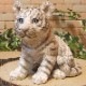 �ꥢ��ʸפ���ʪ���٥ӡ����ۥ磻�ȥ����������ȥ顡�Ȥ顡�ҡ����١��ﵯʪ�����˥ޥ륪�֥����������ǥ󡡥٥��������ȡ������ǥ˥󥰡��������Υ���ƥꥢ�ˤ����Υ����ʥ��ȤȤ��Ƥ����