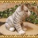 �ꥢ��ʸפ���ʪ���٥ӡ����ۥ磻�ȥ����������ȥ顡�Ȥ顡�ҡ����١��ﵯʪ�����˥ޥ륪�֥����������ǥ󡡥٥��������ȡ������ǥ˥󥰡��������Υ���ƥꥢ�ˤ����Υ����ʥ��ȤȤ��Ƥ����