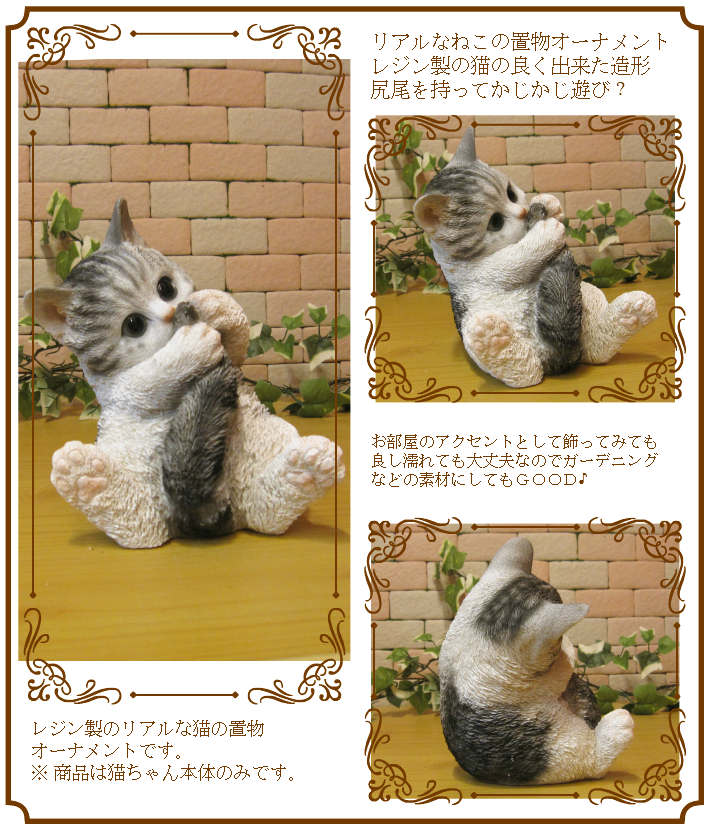 ǭ����ʪ�����åݤ�����������åȡ��ۥ磻�ȡ����졼���ͤ����֥������쥸�������ͥ��ե����奢������ƥꥢ�������ǥ˥��Ǻ�