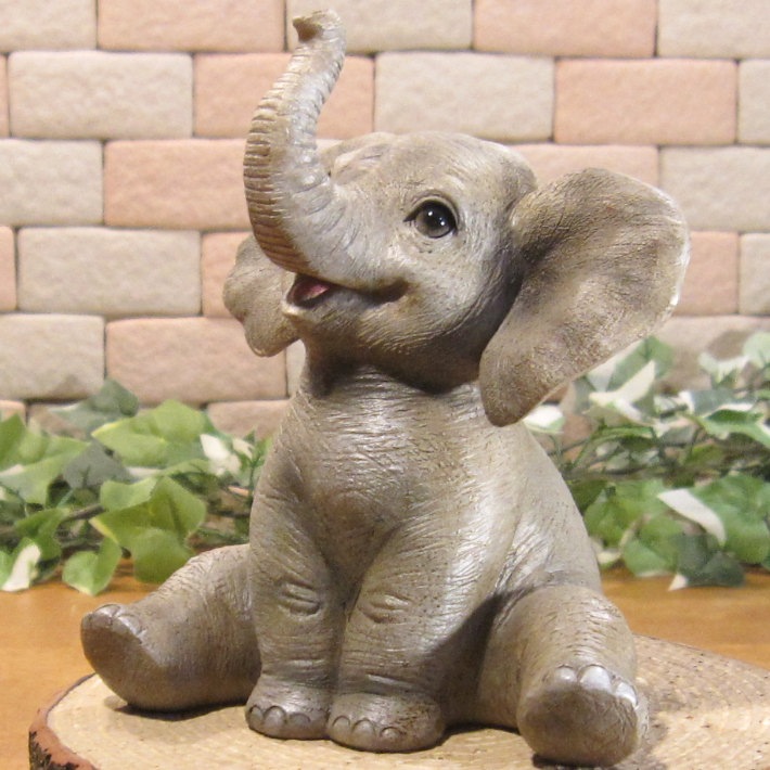 �İ���ưʪ����ʪ���������ȡ��٥ӡ�����ե���ȡ����¤ꡡ�������ݡ����֥����������ǥ˥󥰡�Ź�����������֥���������ƥꥢ�������٥���������