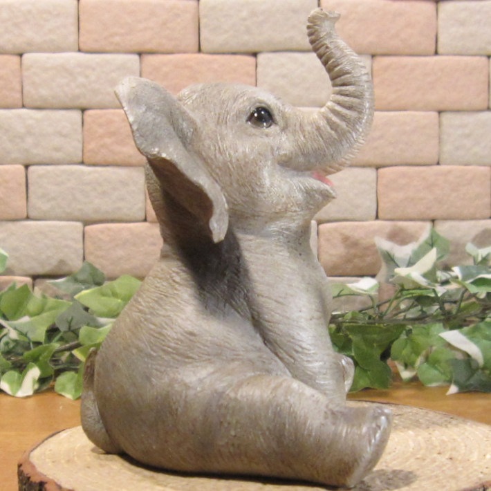 �İ���ưʪ����ʪ���������ȡ��٥ӡ�����ե���ȡ����¤ꡡ�������ݡ����֥����������ǥ˥󥰡�Ź�����������֥���������ƥꥢ�������٥���������