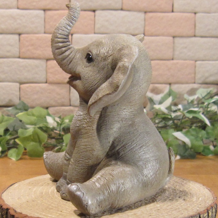 �İ���ưʪ����ʪ���������ȡ��٥ӡ�����ե���ȡ����¤ꡡ�������ݡ����֥����������ǥ˥󥰡�Ź�����������֥���������ƥꥢ�������٥���������