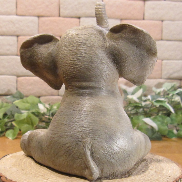 �İ���ưʪ����ʪ���������ȡ��٥ӡ�����ե���ȡ����¤ꡡ�������ݡ����֥����������ǥ˥󥰡�Ź�����������֥���������ƥꥢ�������٥���������