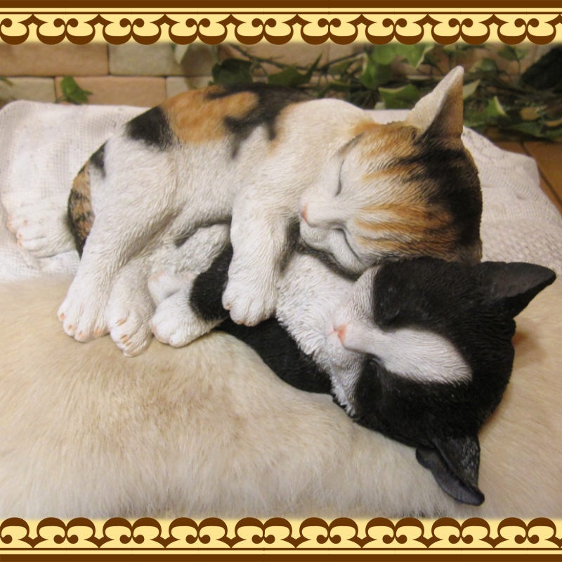 �ꥢ��ʤͤ�����ʪ�����ź�����꡼�ԥ󥰥���åȡ��ߥ����ϥ���졡�쥸�����ͥ��Υե����奢���������Υ���ƥꥢ�˥����ǥ˥󥰤��Ǻ��