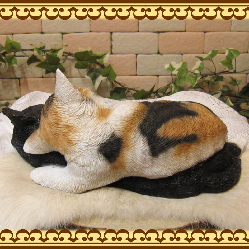 �ꥢ��ʤͤ�����ʪ�����ź�����꡼�ԥ󥰥���åȡ��ߥ����ϥ���졡�쥸�����ͥ��Υե����奢���������Υ���ƥꥢ�˥����ǥ˥󥰤��Ǻ��