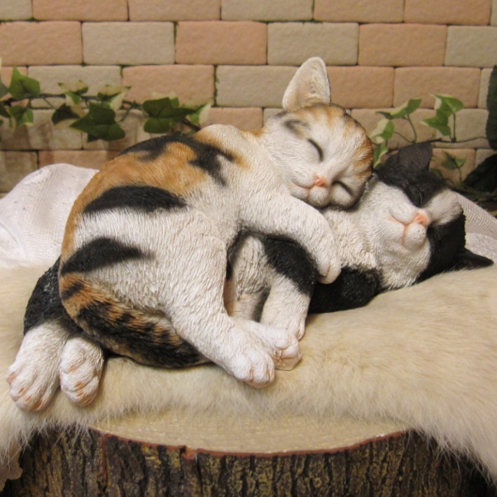 �ꥢ��ʤͤ�����ʪ�����ź�����꡼�ԥ󥰥���åȡ��ߥ����ϥ���졡�쥸�����ͥ��Υե����奢���������Υ���ƥꥢ�˥����ǥ˥󥰤��Ǻ��