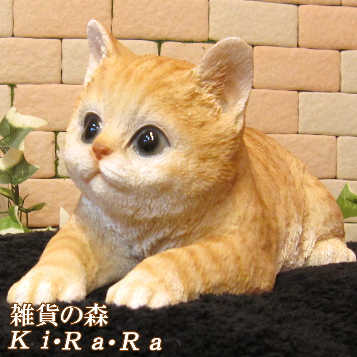 ǭʪĤ٥ӡåȡȥ顡֥ͤ쥸ͥե奢ƥꥢǥ˥Ǻ