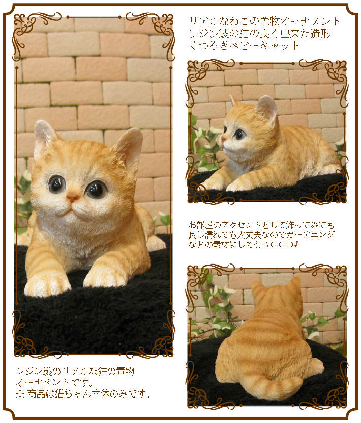 ǭʪĤ٥ӡåȡȥ顡֥ͤ쥸ͥե奢ƥꥢǥ˥Ǻ