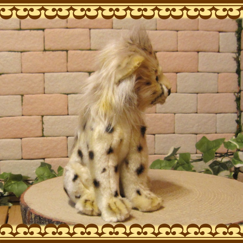 ������������ʪ���ꥢ��ʡ�ưʪ�Τ̤�����ߡ��ҥ���������������ɡ����֥���������ƥꥢ�����å����ե����奢