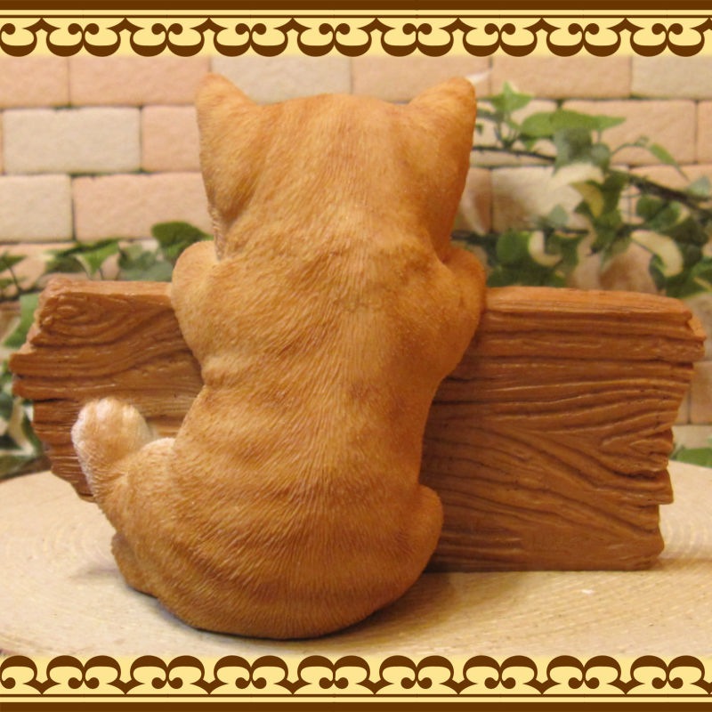 ǭ����ʪ �����륫��ܡ��ɡ�����åȡ�����ȥ� �Ҥͤ��Υե�������ǭ���ߡ����֥����� �����ǥ󡡥��ե����٥��������ȡ��������쥸��