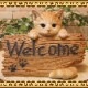 ǭ����ʪ �����륫��ܡ��ɡ�����åȡ�����ȥ� �Ҥͤ��Υե�������ǭ���ߡ����֥����� �����ǥ󡡥��ե����٥��������ȡ��������쥸��