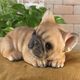 ������ʪ�������٤ꡡ�ե����֥�ɥå����ꥢ��ʤ��̤���ʪ���ե�֥롡���̤Υ��֥�����Ź�ޡ������������󥿡��������ǥ˥󥰡��٥���������