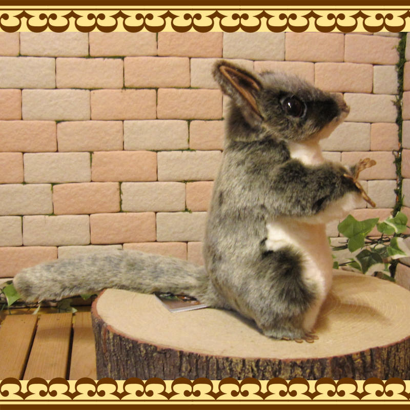 ե󥬡ɡꥢưʪΤ̤ߡ󤬤ʪ˥ޥ륪֥ƥꥢåե奢