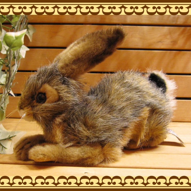 ��������������B�����ס��ꥢ��ʤ������Τ̤�����ߡ�