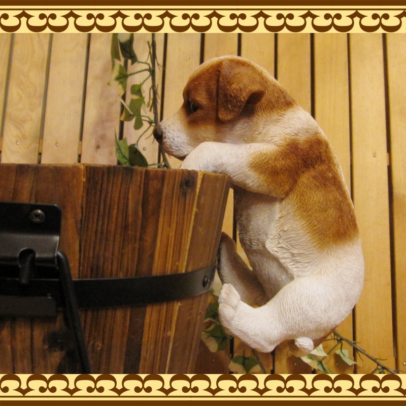 ���������Υ���ƥꥢ�ˤ����Υ����ʥ��ȤȤ��Ƥ�����ꥢ��ʸ�����ʪ���֤餵���ꥸ��å���å���ƥꥢ�����̤Υե�����