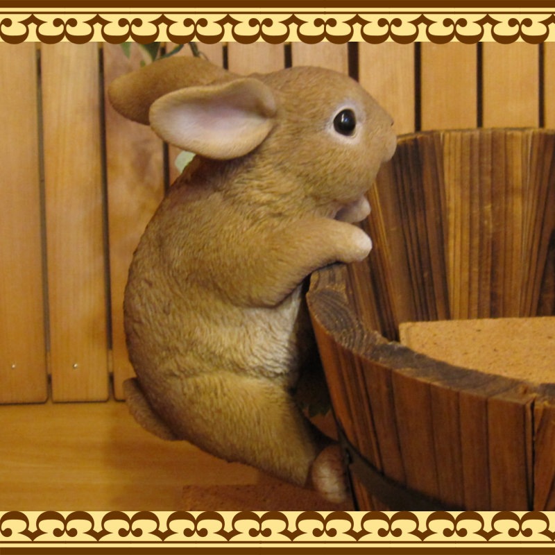 ���������Υ���ƥꥢ�ˤ����Υ����ʥ��ȤȤ��Ƥ�����ꥢ��ʥ���������ʪ���֤餵�����ӥåȡ��������Υե�����