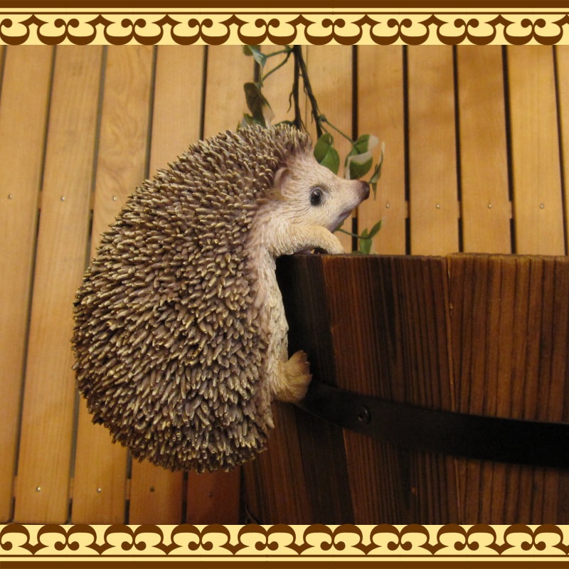 ϥͥߤʪ֤餵ꡡإåۥåꥢ롡Ϥͤߡ֥ǥ󡡥٥ȡʥ