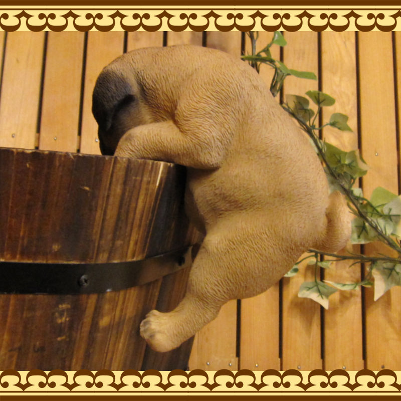 ���������Υ���ƥꥢ�ˤ����Υ����ʥ��ȤȤ��Ƥ�����ꥢ��ʸ�����ʪ���֤餵����ѥ������̤Υե�����