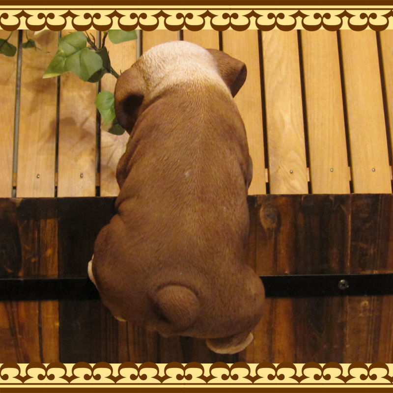 ���������Υ���ƥꥢ�ˤ����Υ����ʥ��ȤȤ��Ƥ�����ꥢ��ʸ�����ʪ���֤餵����֥�ɥå������̤Υե�����