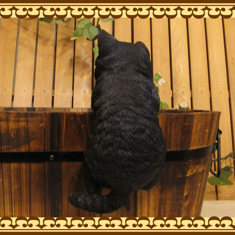 ���������Υ���ƥꥢ�ˤ����Υ����ʥ��ȤȤ��Ƥ�����ꥢ��ʻҥͥ�����ʪ���֤餵����٥ӡ�����å� �֥�å����Ҥͤ��Υե�����