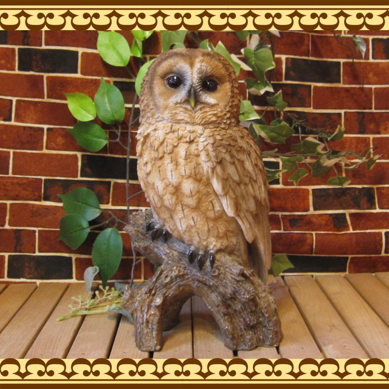 ΥƥꥢˤΥʥȤȤƤ礭ƥꥢĻʪդ¥סեΥե